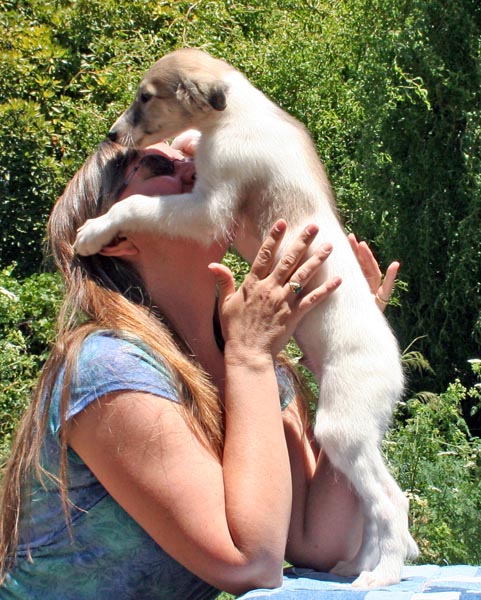 MJ With Lure and Pup 4